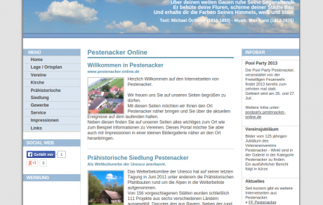 Projekt Pestenacker-online